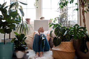 indoor air purifying plants